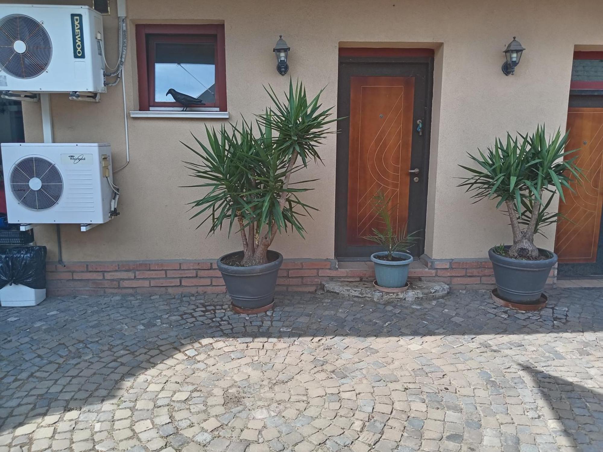 Brique Jobb Mint Othon Apartman Hajdúszoboszló Exterior foto